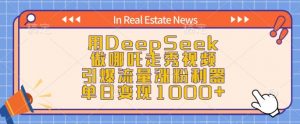 用DeepSeek做哪吒走秀视频，引爆流量涨粉利器，单日变现1k-小哈资源