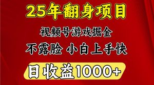 一天收益1000+ 25年开年落地好项目-小哈资源