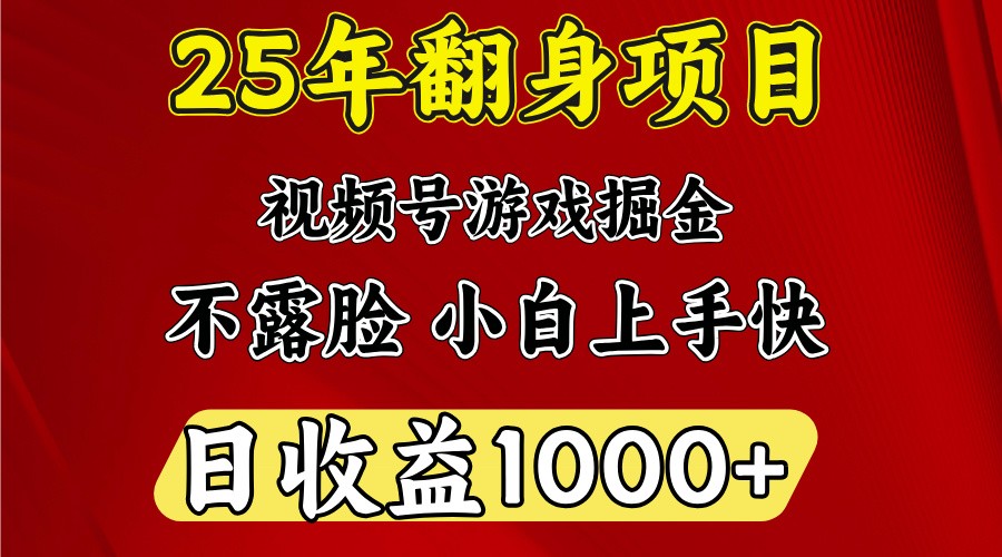 一天收益1000+ 25年开年落地好项目-小哈资源