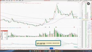 大师兄·鹿鼎山系列内部课程(更新2025年1月)-小哈资源