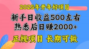 2025开年好项目，单号日收益2000左右-小哈资源