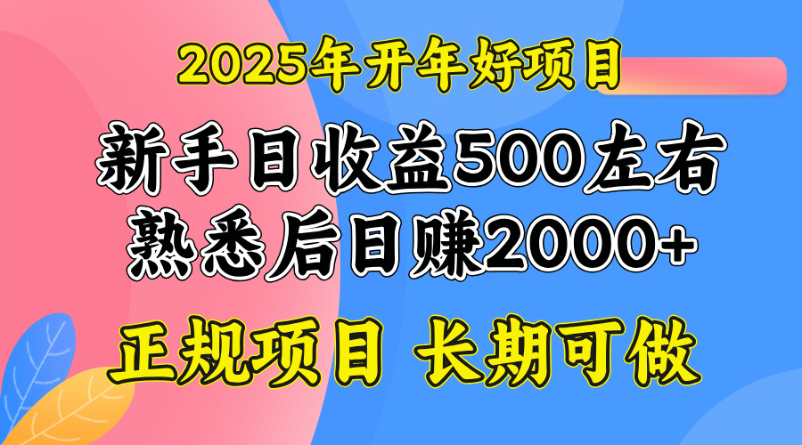 2025开年好项目，单号日收益2000左右-小哈资源