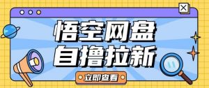 全网首发悟空网盘云真机自撸拉新项目玩法单机可挣10.20不等-小哈资源