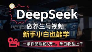 小白用DeepSeek做养生号，一条作品涨粉5万+，单日收益上千-小哈资源
