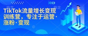 TikTok流量增长变现训练营，专注于运营·涨粉·变现-小哈资源