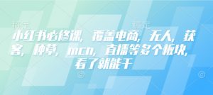 小红书必修课,覆盖电商,无人,获客,种草,mcn,直播等多个板块,看了就能干-小哈资源