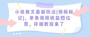 小说推文最新玩法(视频标记)，单条视频收益四位数，详细教程来了-小哈资源