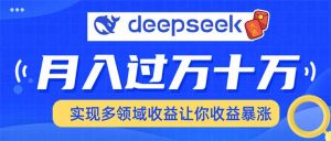 用DeepSeek席卷各大平台，快速上手实现多领域，让你收入猛增-小哈资源