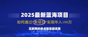 2025最新蓝海项目，零门槛轻松复制，月入10万+，新手也能操作！-小哈资源