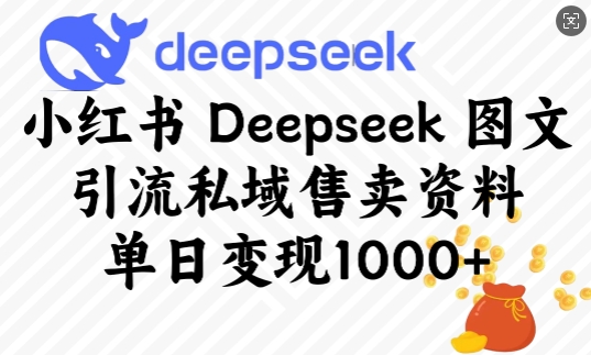 小红书Deepseek图文引流私域售卖资料，单日变现多张-小哈资源
