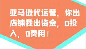 亚马逊代运营，你出店铺我出资金，0投入，0费用，无责任每天300分红，赢亏我承担-小哈资源