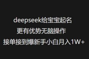 deepseek给宝宝起名更有优势无脑操作接单接到爆新手小白月入1W+-小哈资源