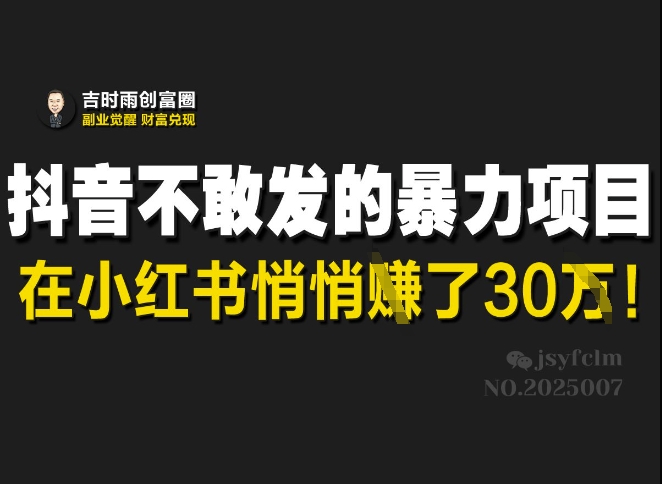 抖音不敢发的暴利项目,在小红书悄悄挣了30W-小哈资源