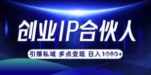 云帆·创业ip合伙人打造3.0，从0到1教你做网创，实现月入过W-小哈资源