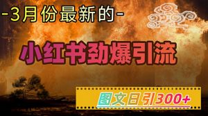 小红书超劲爆引流手段，图文日引300+轻松变现1W-小哈资源