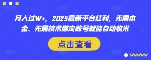 月入过W+，2025最新平台红利，无需本金、无需技术绑定账号就能自动收米-小哈资源
