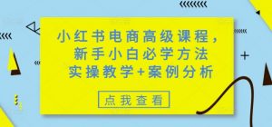 小红书电商高级课程，新手小白必学方法，实操教学+案例分析-小哈资源