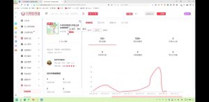 2025小红书虚拟电商实战课-小哈资源