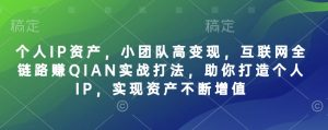 个人IP资产，小团队高变现，互联网全链路赚QIAN实战打法，助你打造个人IP，实现资产不断增值-小哈资源