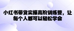 小红书带货实操高阶训练营，让每个人都可以轻松学会-小哈资源