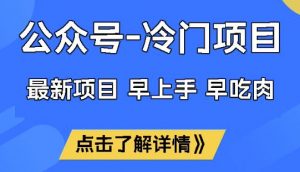 公众号冷门赛道，早上手早吃肉，单月轻松稳定变现1W【揭秘】-小哈资源