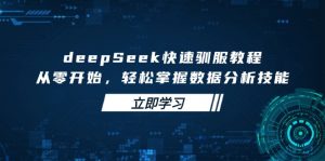 deepSeek快速驯服教程，从零开始，轻松掌握数据分析技能-小哈资源