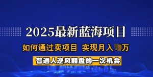 2025蓝海项目，普通人如何通过卖项目，实现月入过W，全过程【揭秘】-小哈资源