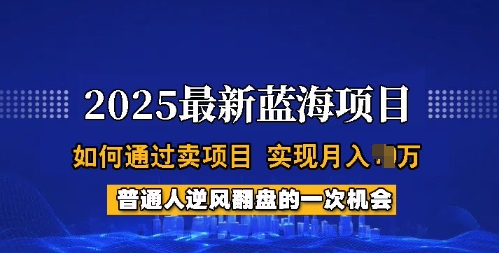 2025蓝海项目,普通人如何通过卖项目,实现月入过W,全过程【揭秘】-小哈资源