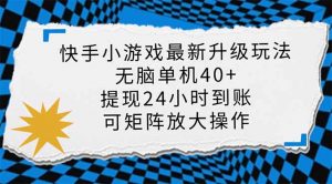 快手小游戏最新版升级玩法，新风口，无脑单机日入40+，可批量放大，小...-小哈资源