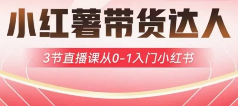 小红薯达人带货启航计划，3节直播课从0-1入门小红书-小哈资源