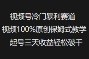 视频号冷门暴利赛道视频100%原创保姆式教学起号三天收益轻松破千-小哈资源