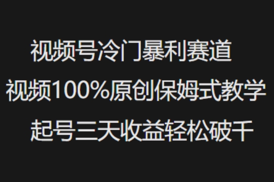 视频号冷门暴利赛道视频100%原创保姆式教学起号三天收益轻松破千-小哈资源