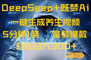 DeepSeek+既梦Ai生成养生视频，5分钟一条，条条爆款，轻松日入300+-小哈资源