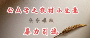 deepseek写农村小项目，条条爆款，暴力引流-小哈资源