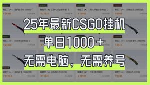 25年最新CSGO挂机系统，单日1000+，无需电脑，无需养号，0基础可上手-小哈资源