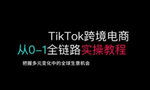 TikTok跨境电商从0-1全链路全方位实操教程，把握多元变化中的全球生意机会-小哈资源