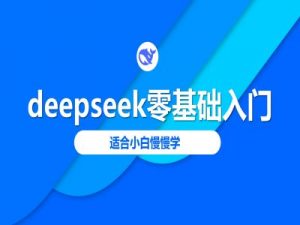deepseek零基础入门-deepseek教程2025，适合小白慢慢学-小哈资源
