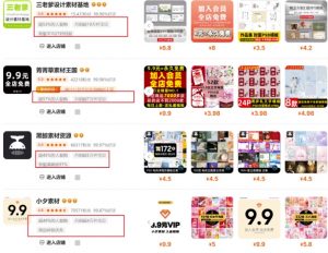 0成本虚拟项目实战手把手教你落地，单店月入5k-小哈资源