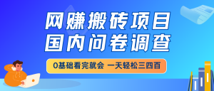 网赚搬砖项目，国内问卷调查，0基础看完就会 一天轻松三四百，靠谱副业...-小哈资源