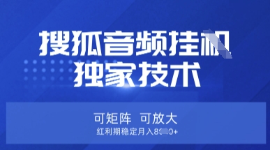 【搜狐音频挂G】独家技术，可矩阵可放大，红利期稳定月入8k【揭秘】-小哈资源