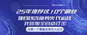 25年推荐这10个副业项目包含褂鸡类、代运营托管类、全自动打金类【揭秘】-小哈资源