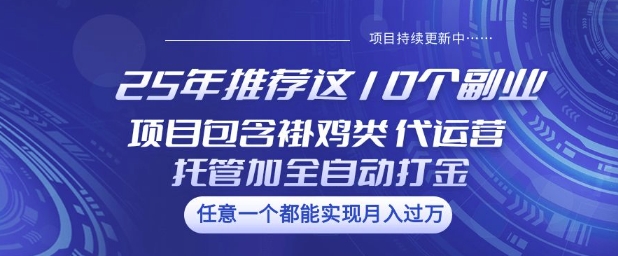 25年推荐这10个副业项目包含褂鸡类、代运营托管类、全自动打金类【揭秘】-小哈资源