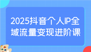 2025抖音个人IP全域流量变现进阶课：选爆品、抖音付费投流、千川投流实操及优化等-小哈资源