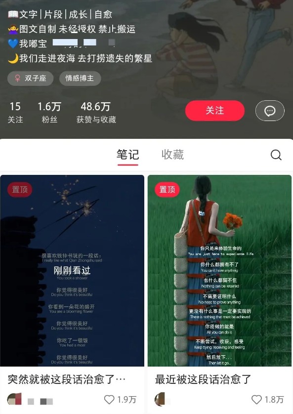 小红书治愈文案图文笔记,零门槛,一分钟制作轻松制作爆款作品月入万元-小哈资源