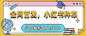 小红书种草，手机项目，日入3张，复制黏贴即可，可矩阵操作，动手不动脑【揭秘】-小哈资源