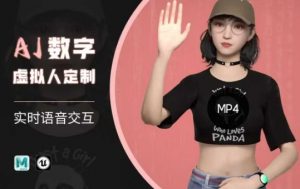 Ai数字人虚拟(智能体)实时语音交互特训营，​自行定制超写实角色AI数字人交互技术-小哈资源