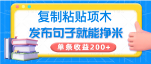 复制粘贴小项目，发布句子就能赚米，单条收益200+-小哈资源