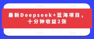 最新Deepseek+蓝海项目，十分钟收益2张-小哈资源