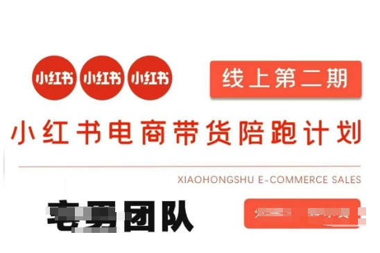 小红书电商带货课2期，月利润20个的小红书电商的有货源，无货源，虚拟产品，付费投流等整套玩法-小哈资源