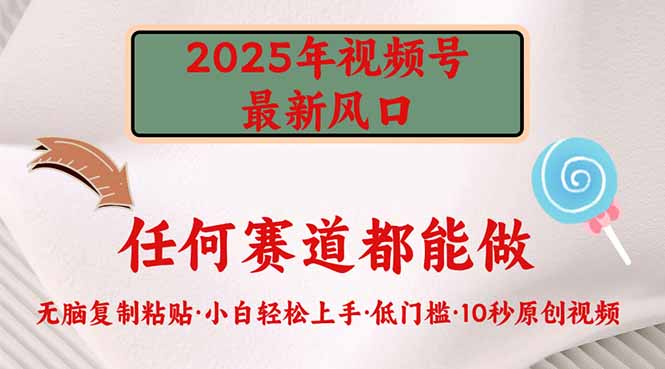 2025年视频号新风口，低门槛只需要无脑执行-小哈资源